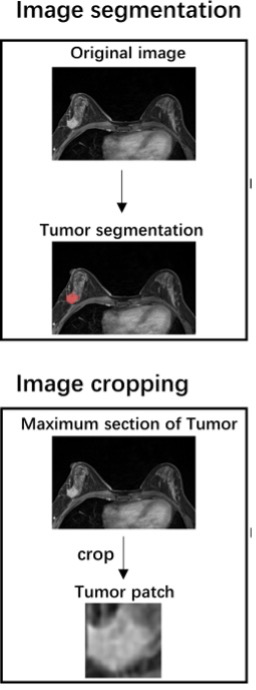 Fig3